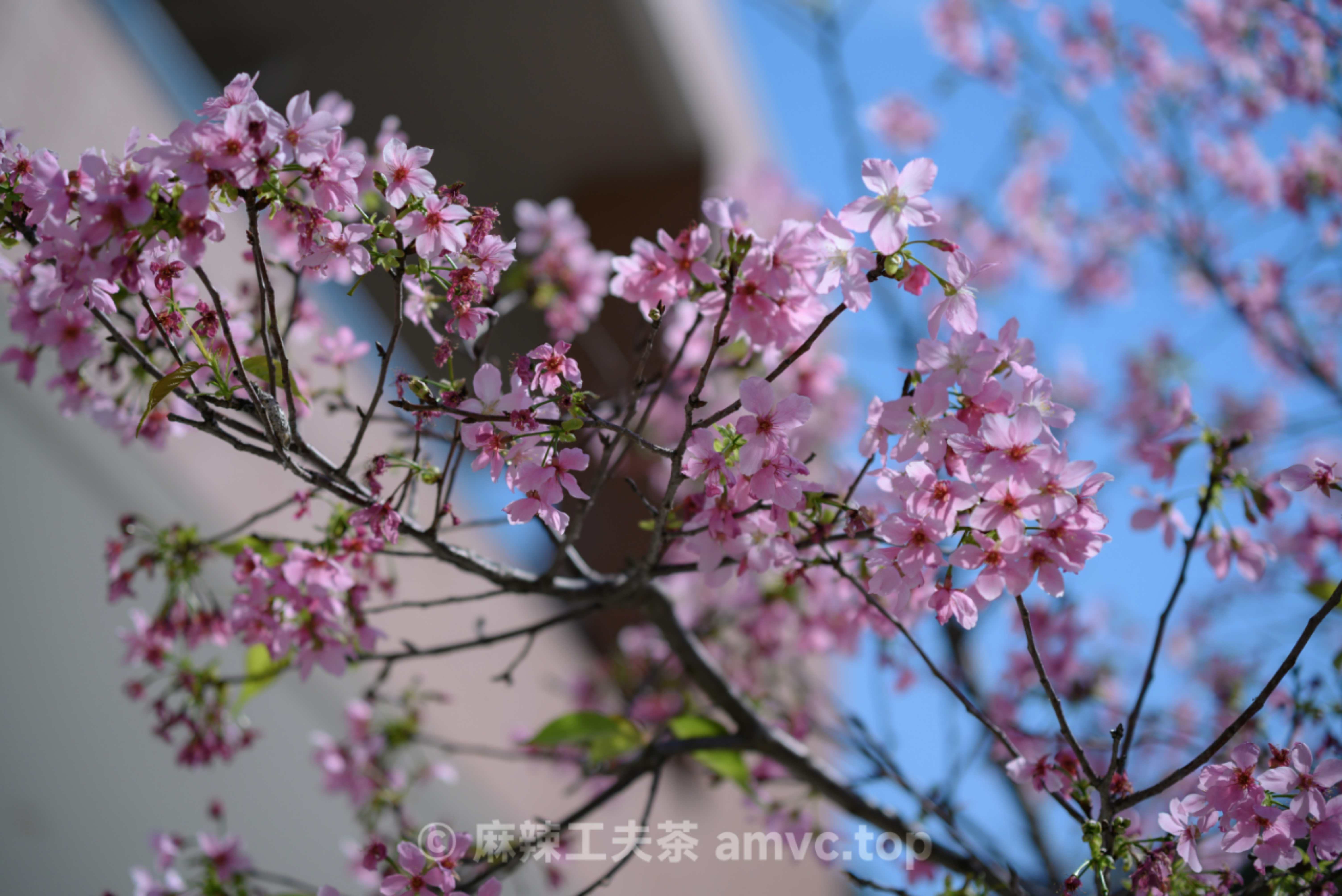 请勿转载 请勿转载