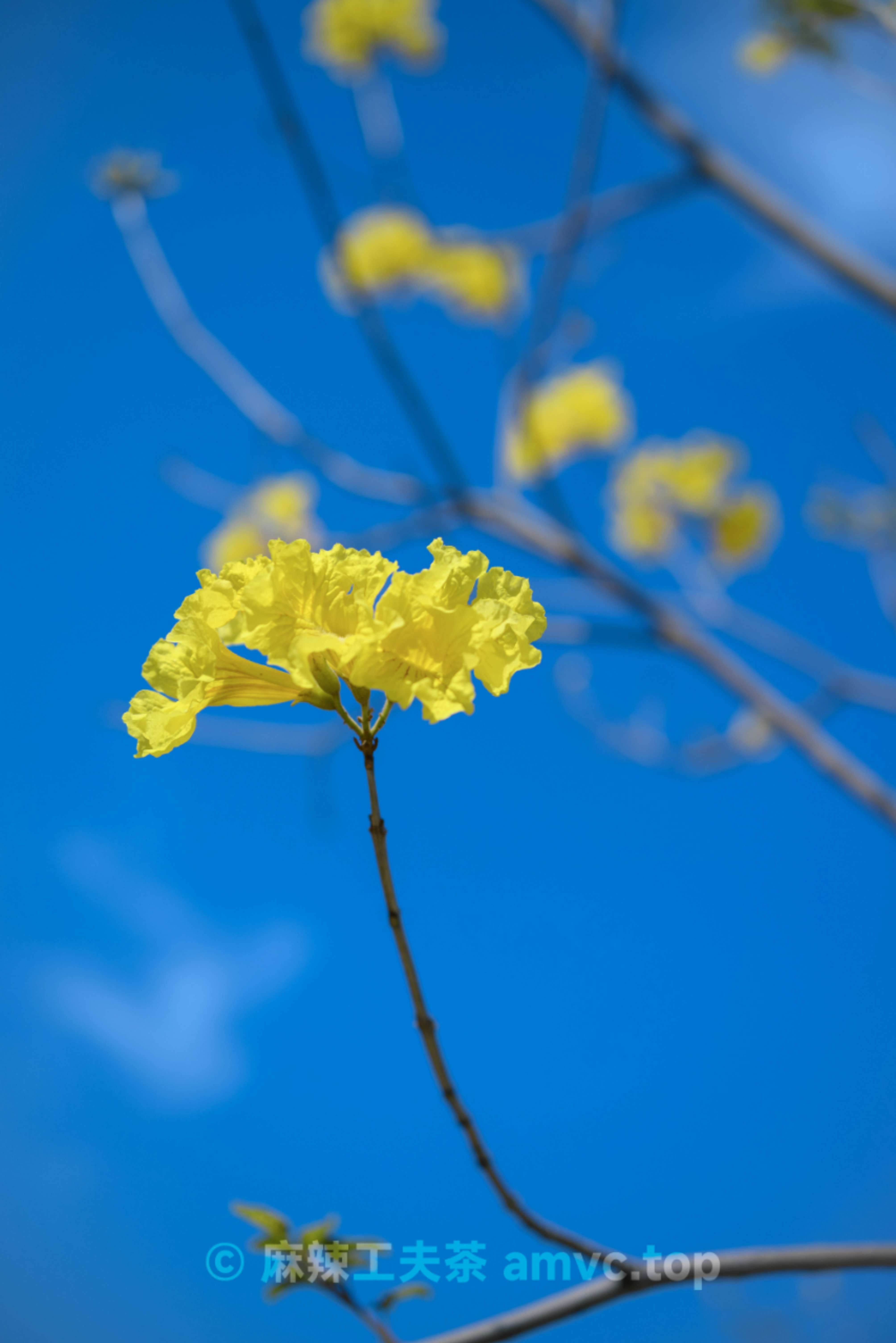 请勿转载 请勿转载