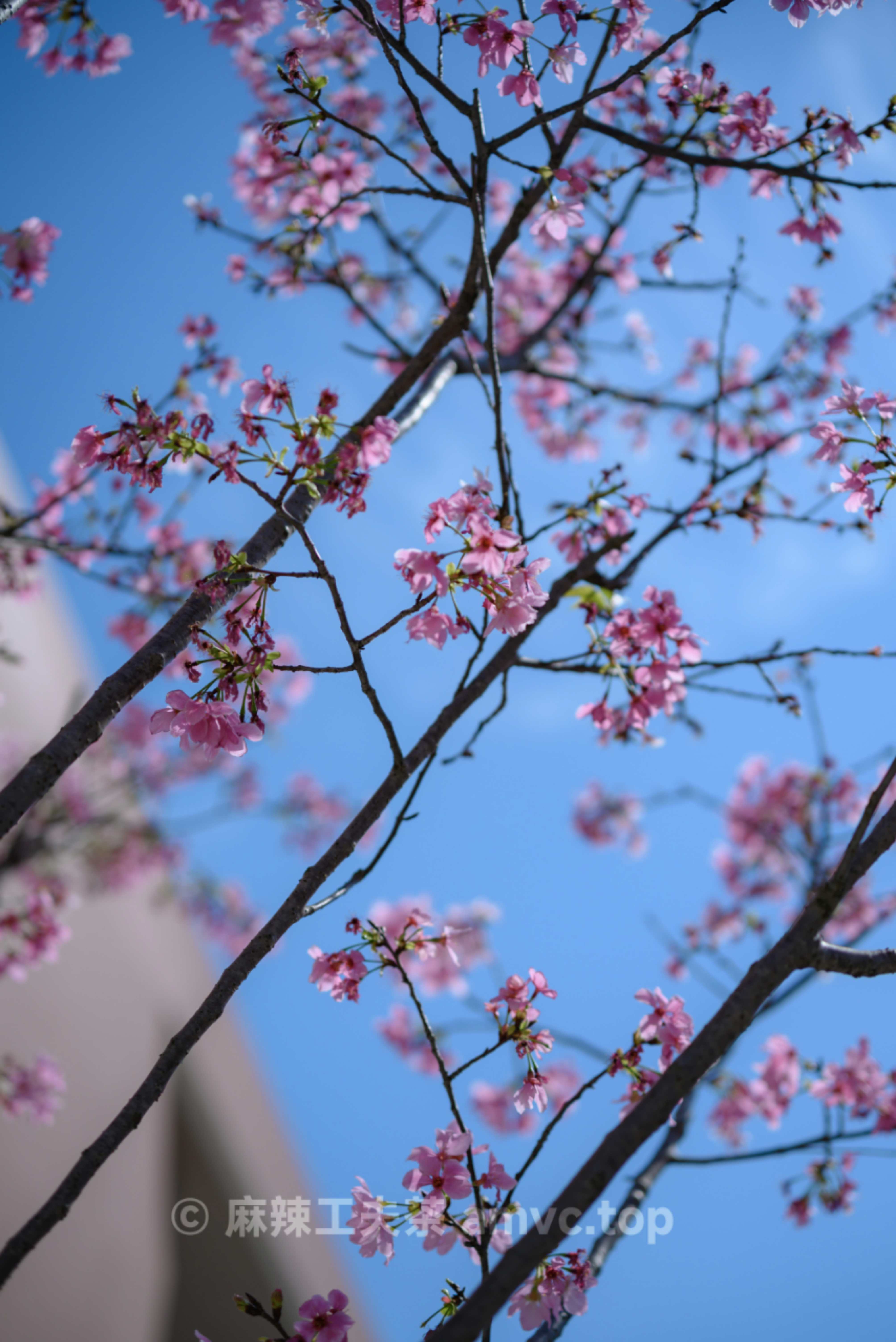 请勿转载 请勿转载