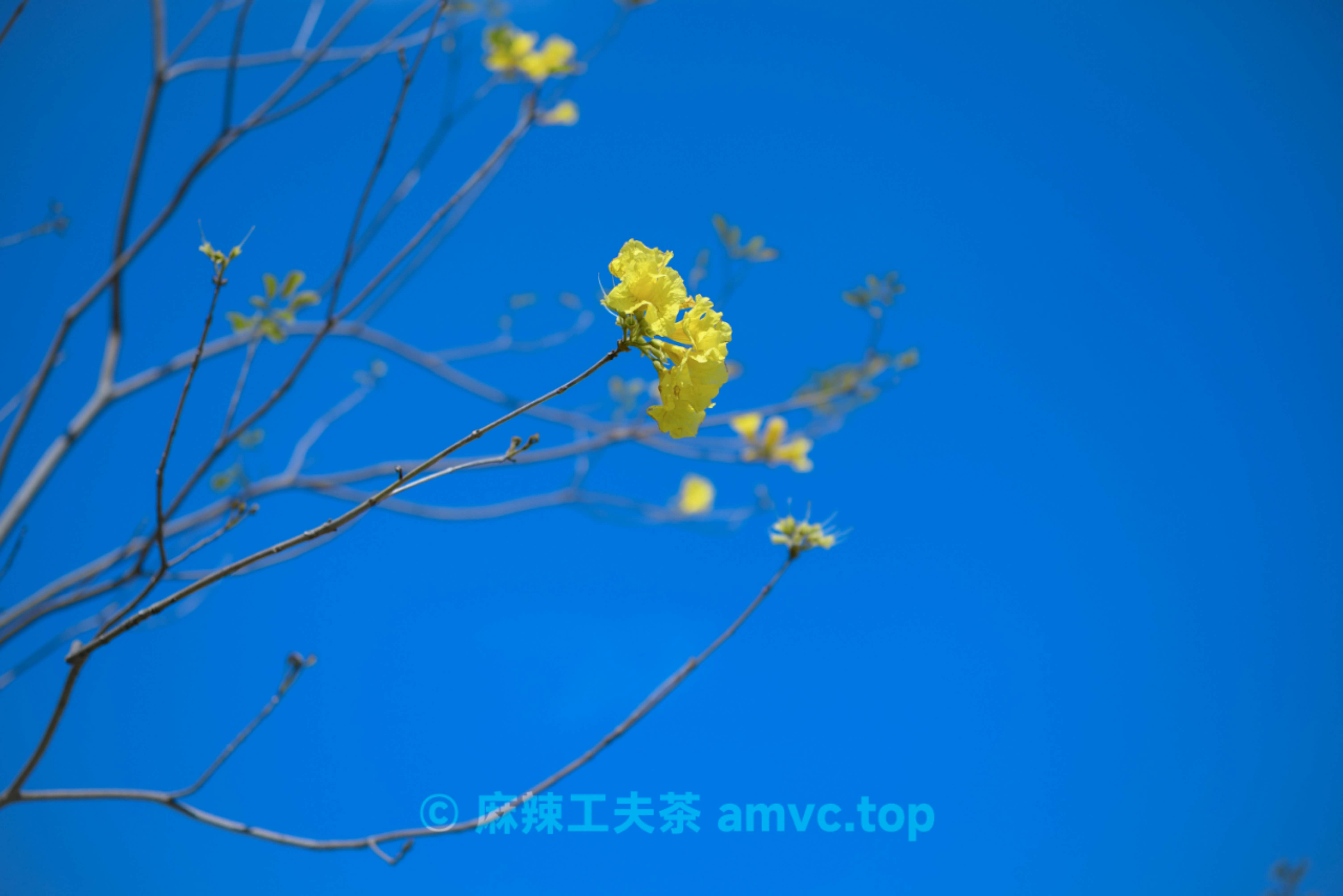 请勿转载 请勿转载