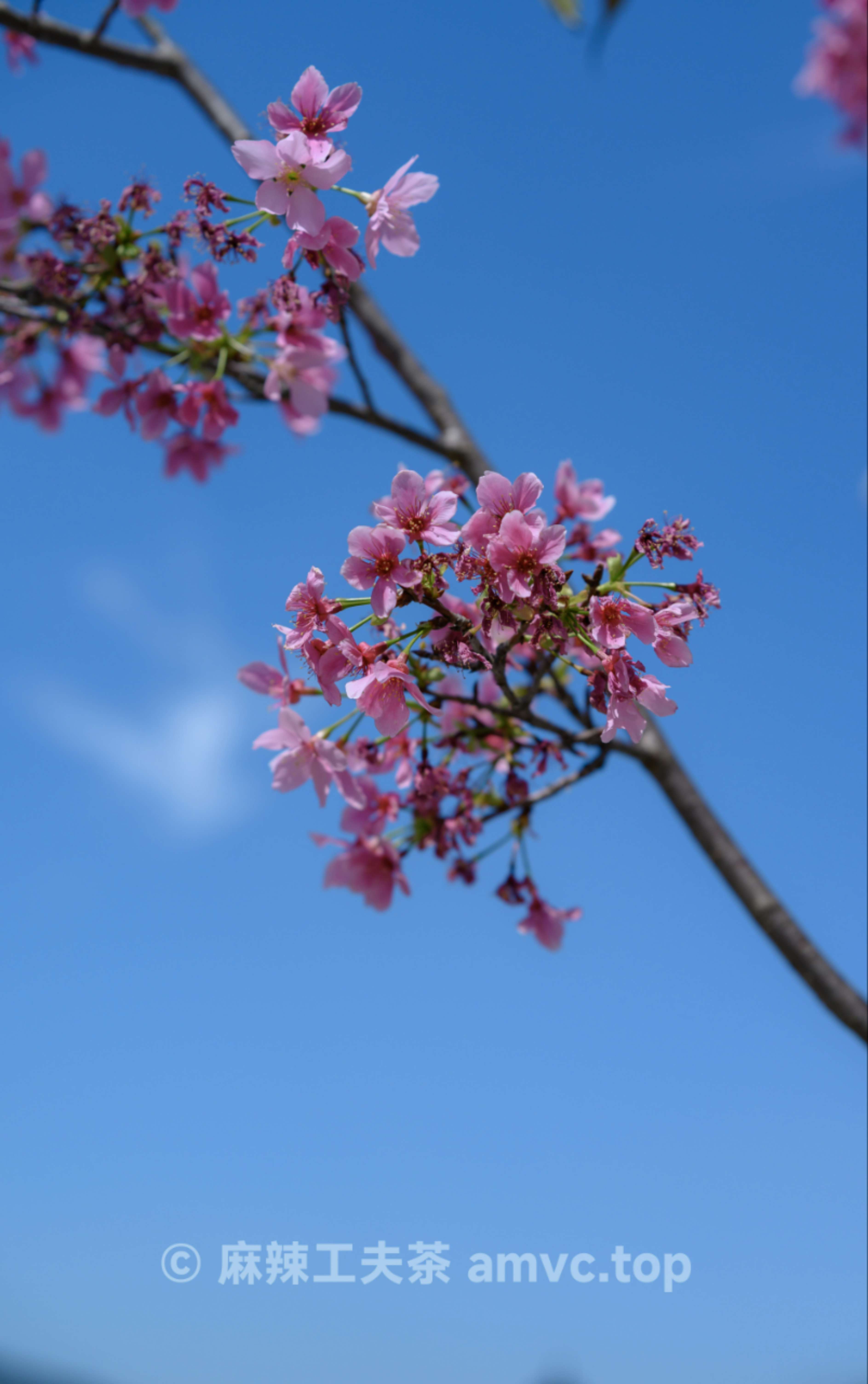 请勿转载 请勿转载