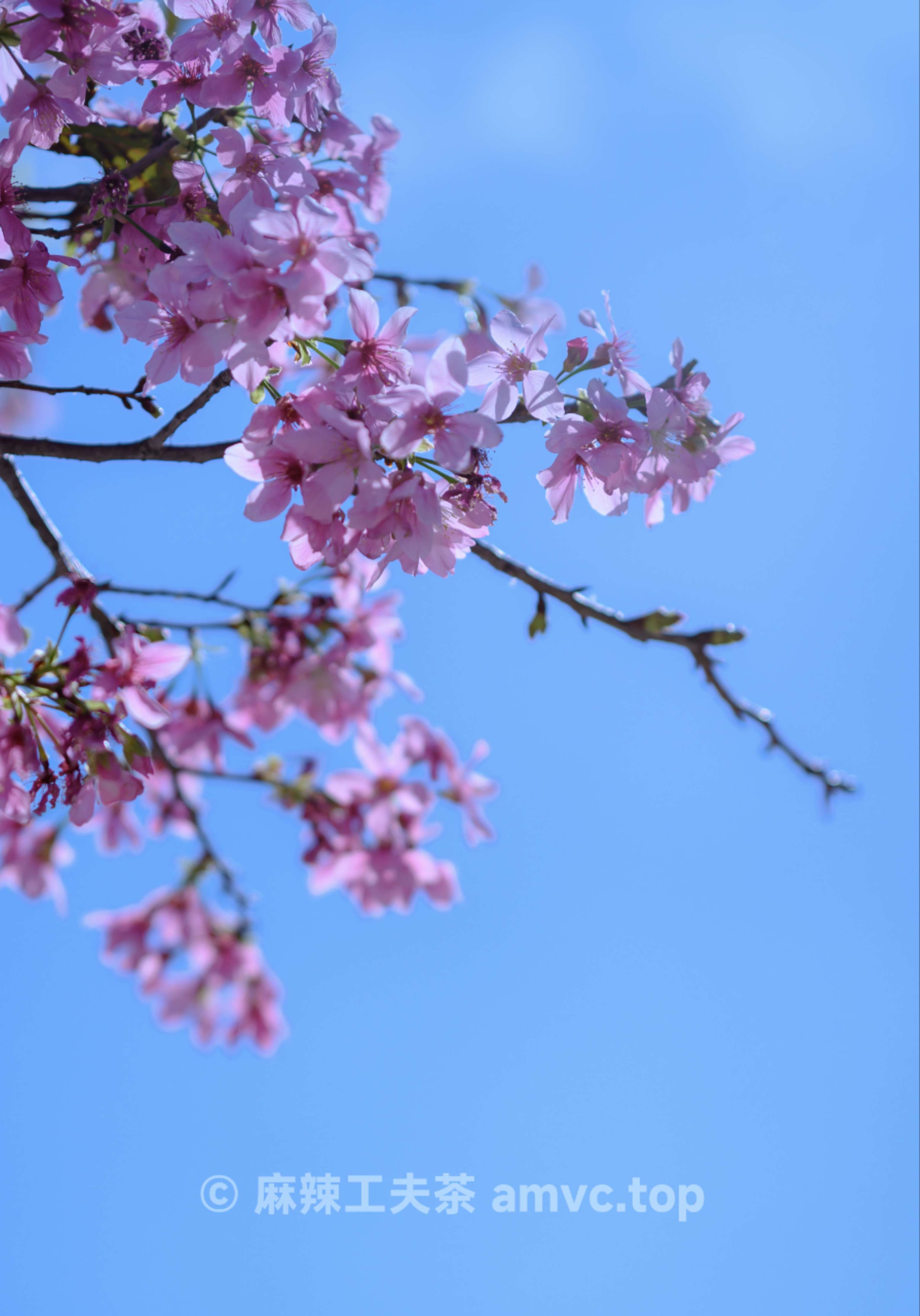 请勿转载 请勿转载