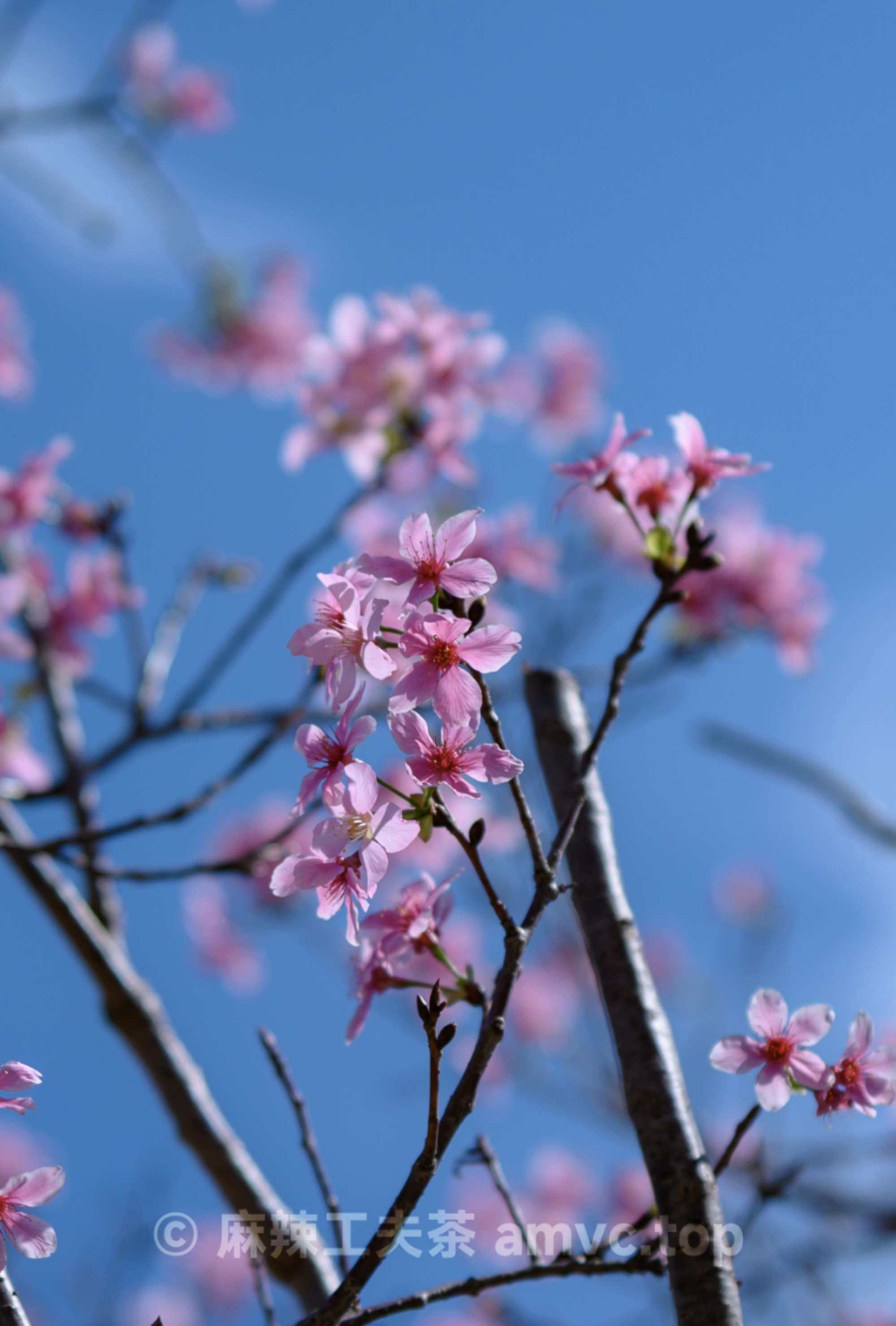 请勿转载 请勿转载